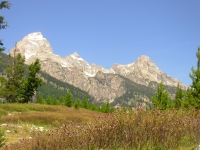 On the Valley Trail